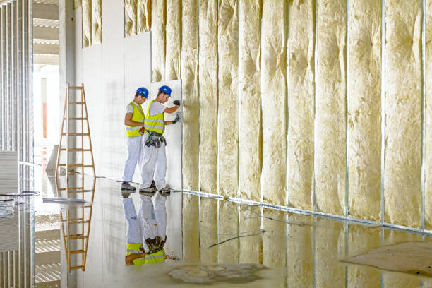 Best Insulation Contractor Near Me  in Loyalhanna, PA
